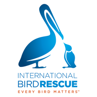 International Bird Rescue