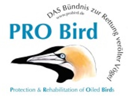 Pro Bird
