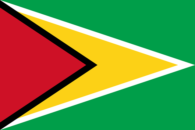 guyana-flag.png