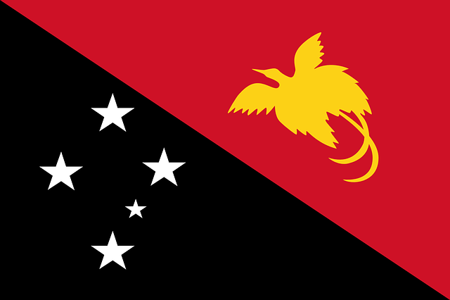 papua-new-guinea-flag 3.png