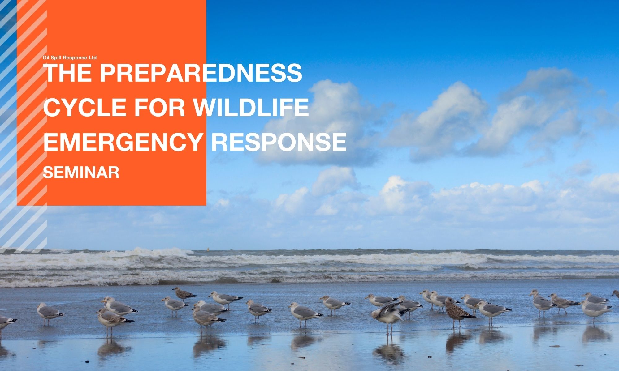 Seminar Recording: The Preparedness Cycle for Wildlife Emergency Response
