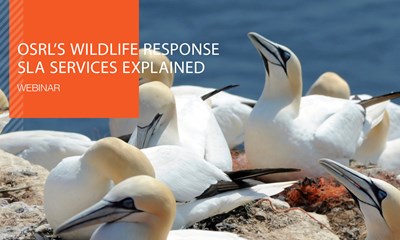 Recorded Webinar: OSRL's Wildlife Response SLA Services Explained