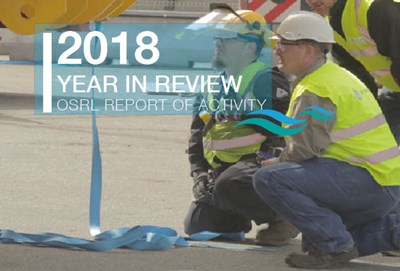 Report of Activity 2018