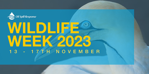 Wildlife Week 2023