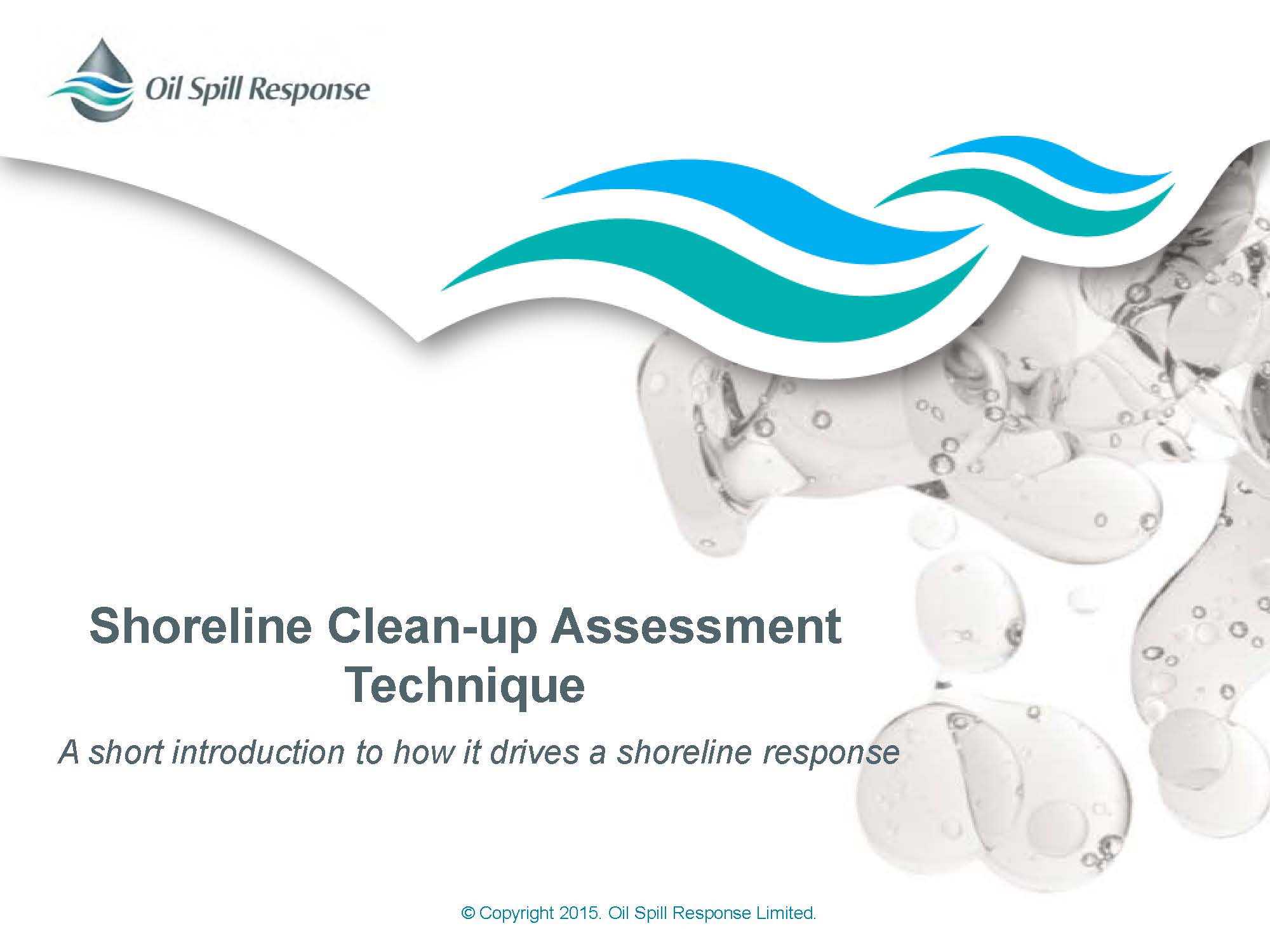Recorded Webinar: Shoreline Clean-up Assessment Technique